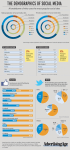 New Infographic – The Demographics of Social Media