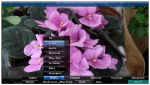Moving from Windows Media Center to Linux Media Center