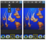 Instagram for Android Updates to 1.1, Adds Tilt-Shift