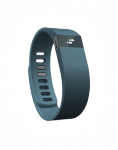 Fitbit Force Review