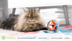 Pebby Brings Smart Robotic Pet Sitter Ball to CES 2018